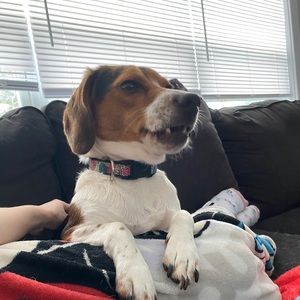 Meet your Posher, Madison